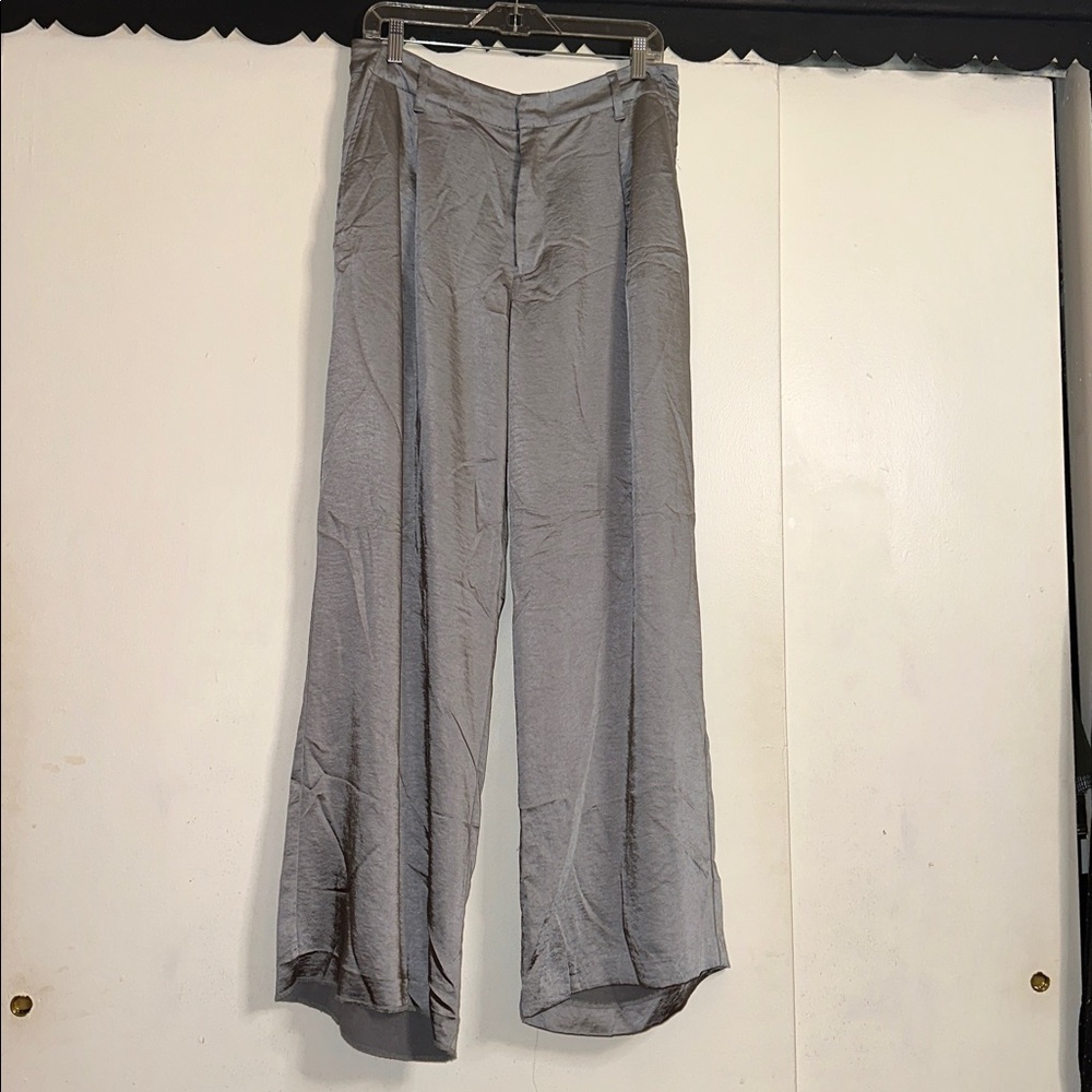 Silver Gray Wide-Leg Pants (plz read)
